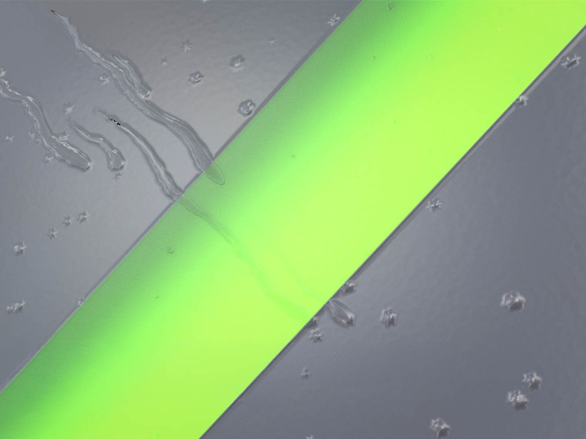 3D-Animation